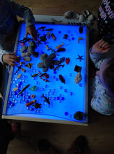 Cargar imagen en el visor de la galería, Mesa de luz Montessori CE